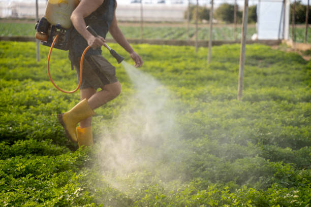  Prairie Creek, AR Pest Control Pros