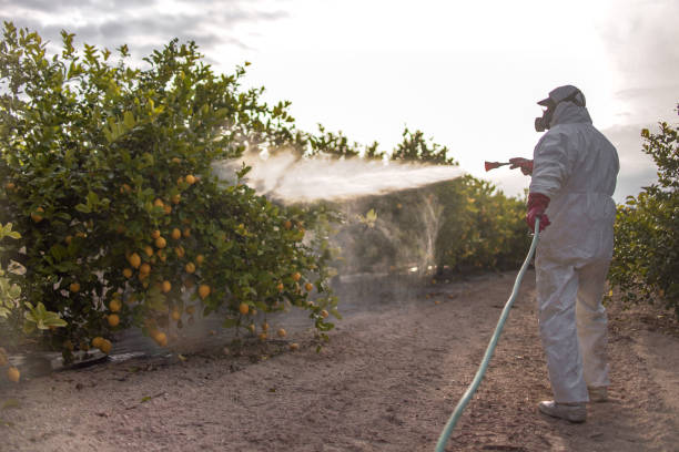 Pest Control for Restaurants in Prairie Creek, AR