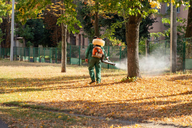 Best Pest Control Near Me in Prairie Creek, AR